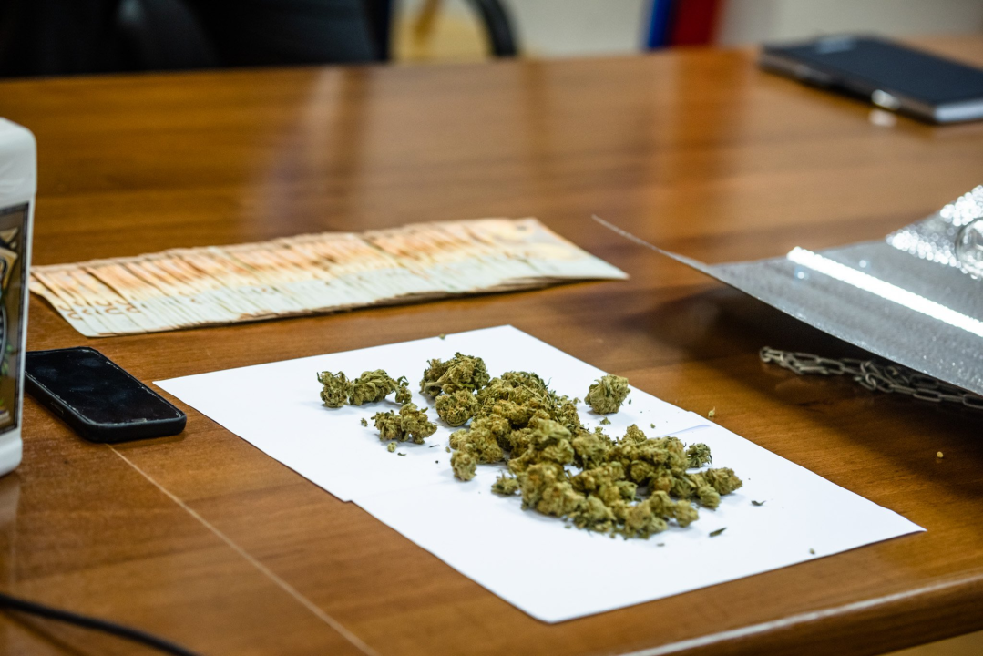 Pao vodički diler: U kući mu našli laboratorij, 500 kg stabljika kanabisa i 16 kg zapakirane marihuane 