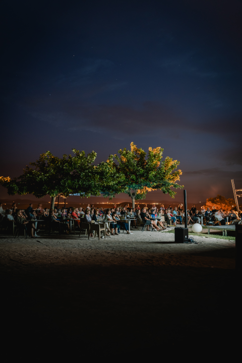 Filmom Nine Violić otvoreno ljetno kino na Baroneu: 'Sjajno se osjećam sa šibenskom publikom' 