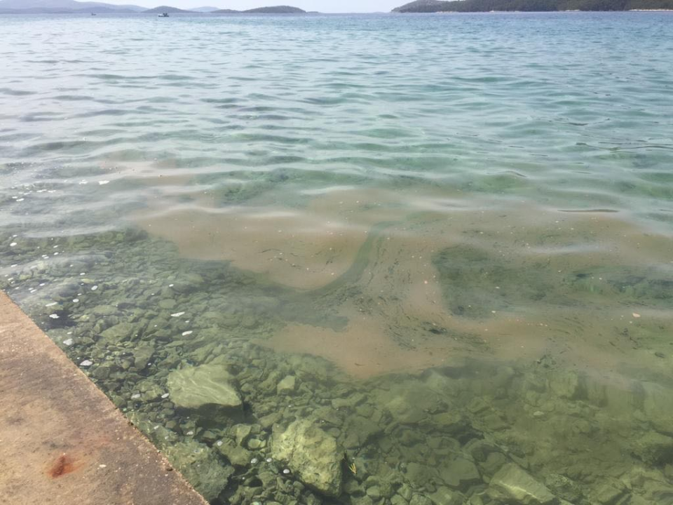 Ispred obnovljene rive u Zablaću rijeka fekalija: ‘Ljudi su zgroženi istrčali iz mora’