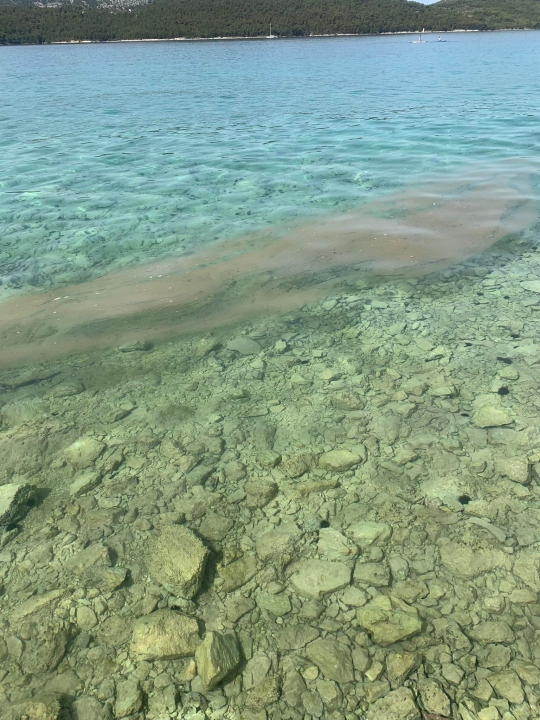 Ispred obnovljene rive u Zablaću rijeka fekalija: ‘Ljudi su zgroženi istrčali iz mora’