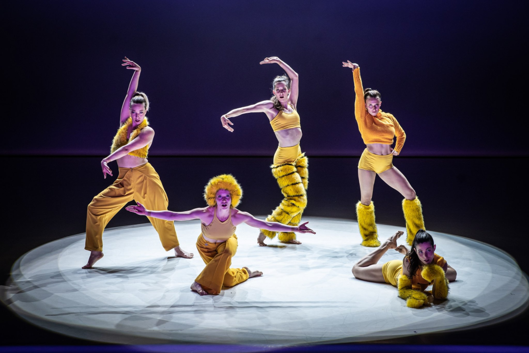 Cirkus na otvorenju 11. Šibenik Dance Festivala! 