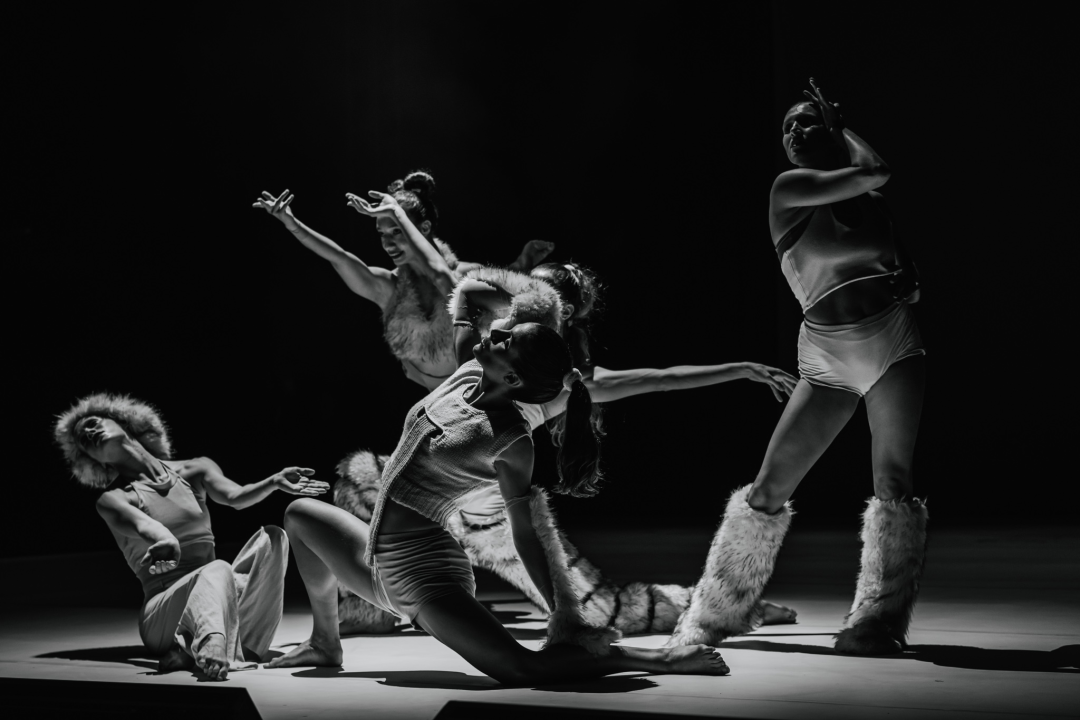 Šibenski plesni festival otvoren vratolomijama: Grad je idućih pet dana plesni centar svijeta