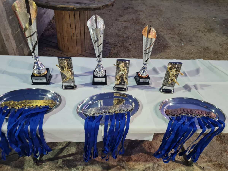 Šibenska Dubrava pobjednik turnira 'Budak 2022.', Niko Škugor najbolji igrač