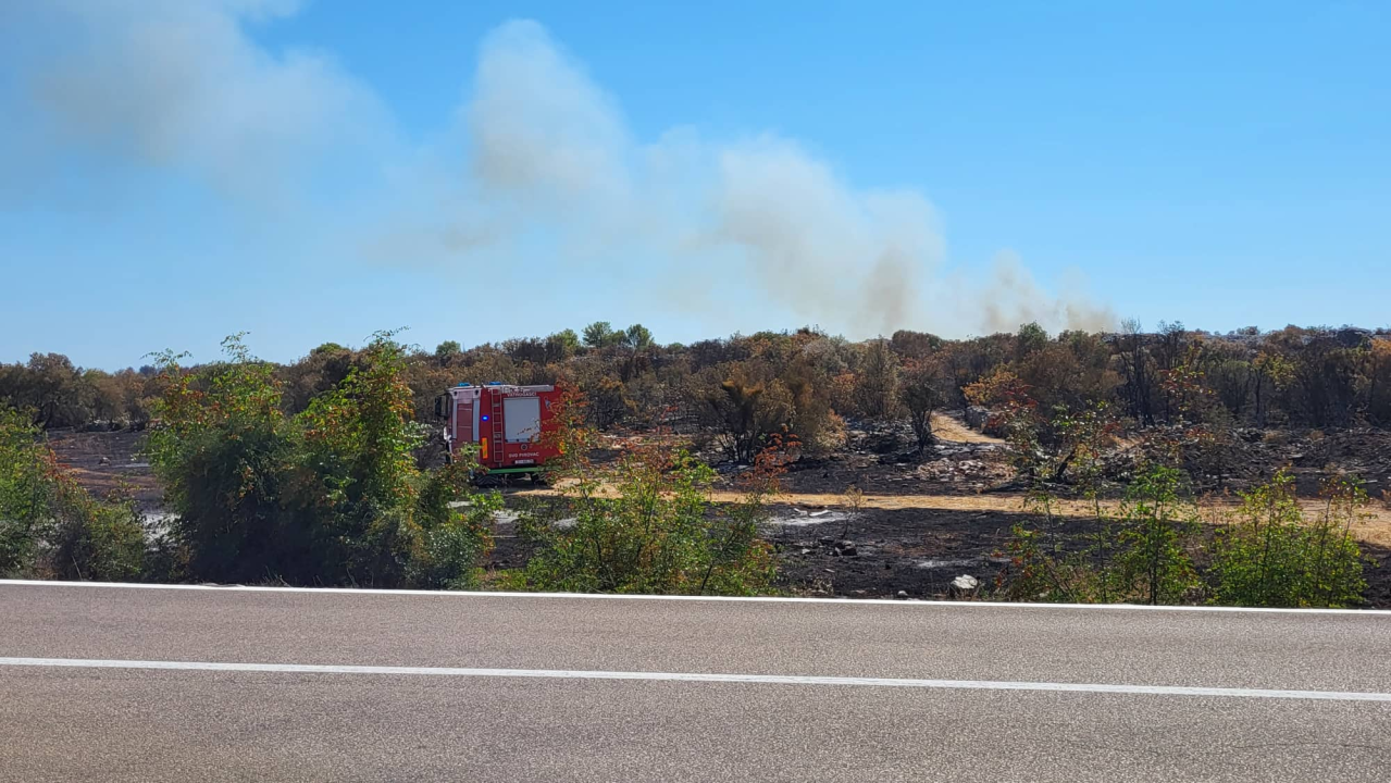 Ugašen požar koji je buknuo kod skretanja za Srimu: Opožarena površina iznosi 1,5 hektar 