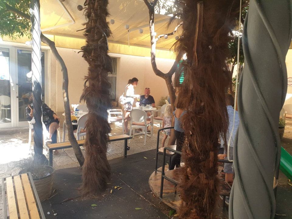 Zeleni grad uklonit će suhe palme s 'Trga 4 štekata': Jučer je jedna pala posred lokala na dječje igralište 