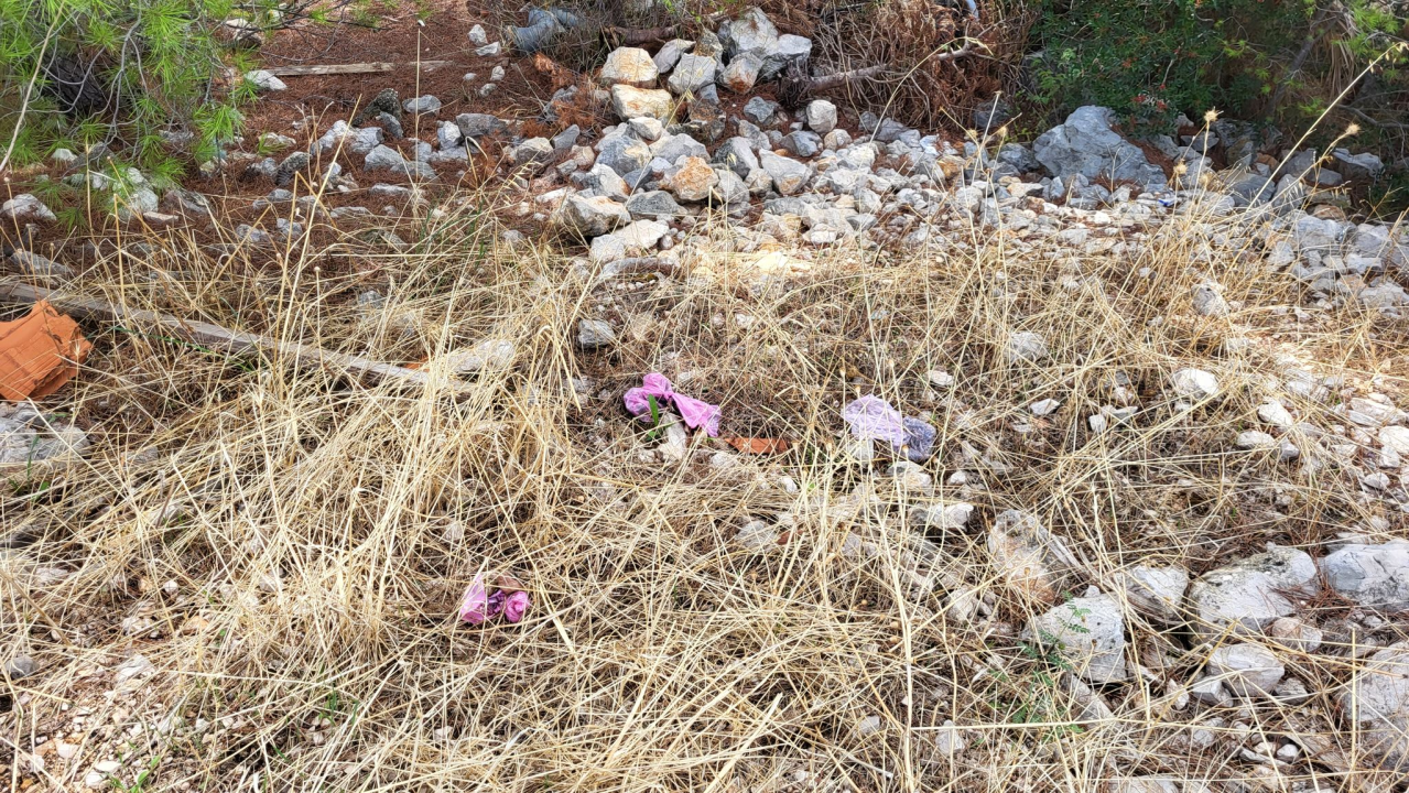 Sve više vlasnika pasa u Šibeniku usvaja novi trend: Dvostruko onečišćenje ulica i okoliša