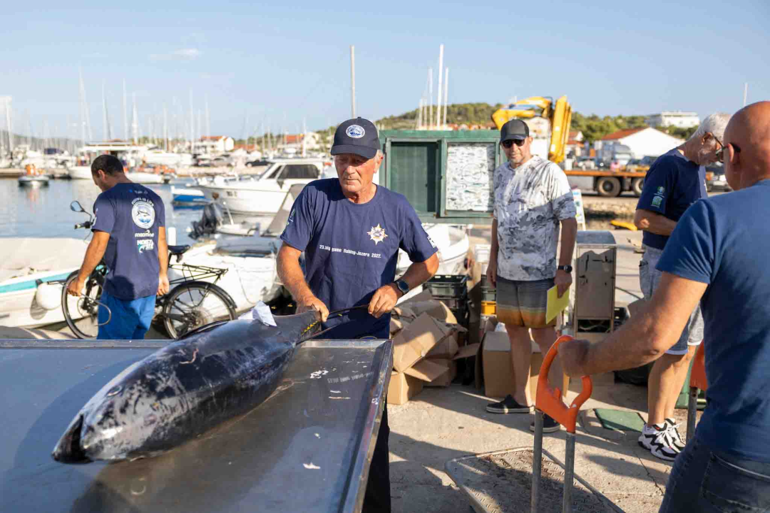 Posjetite besplatnu radionicu o zaštiti ribe i očuvanju ribljeg fonda u Jezerima!