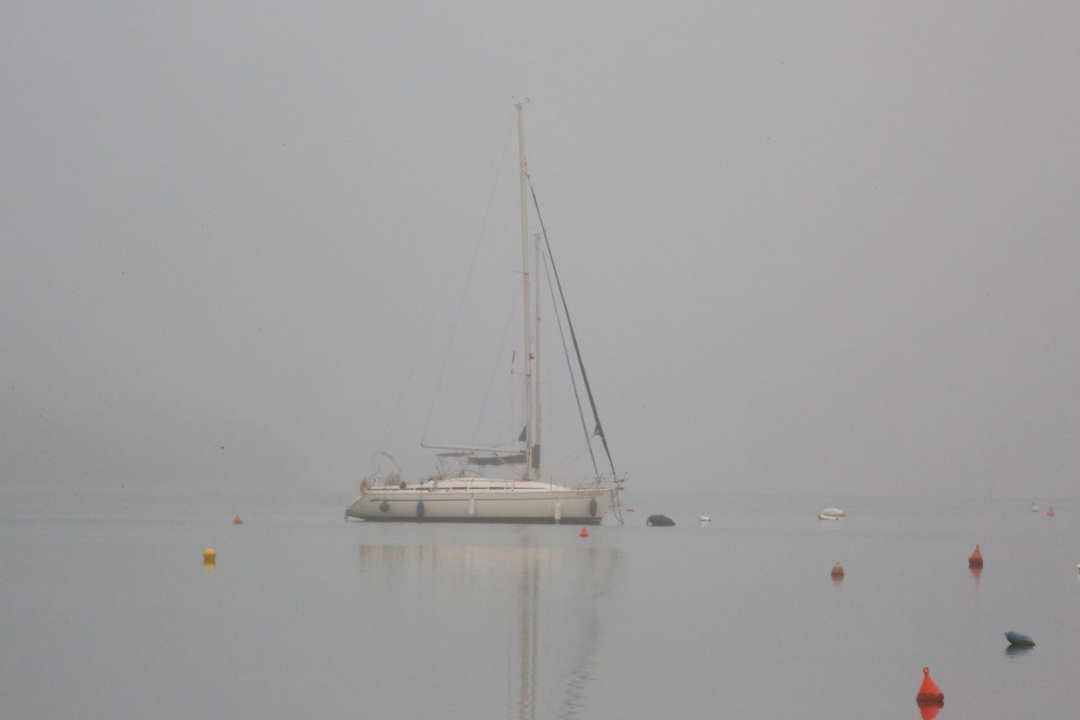 Tisno prekriveno maglom izgleda kao da ga je naslikao Claude Monet!