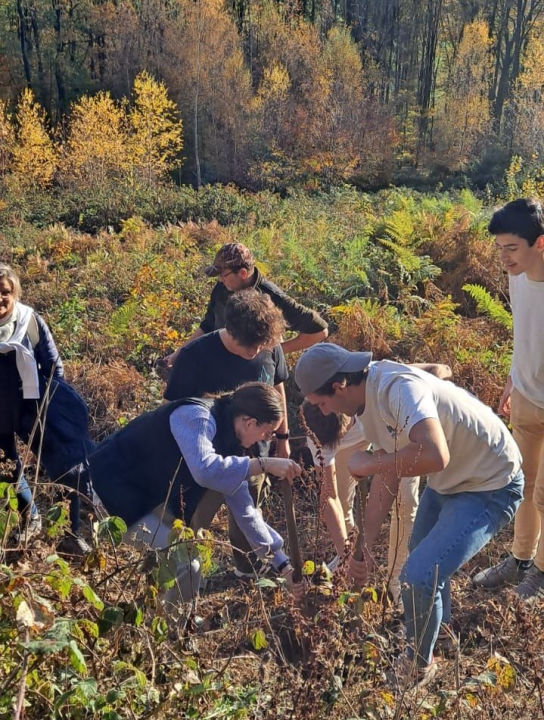 Učenici Gimnazije Antuna Vrančića u Herfordu sudjelovali na Europskom tjednu mladih  