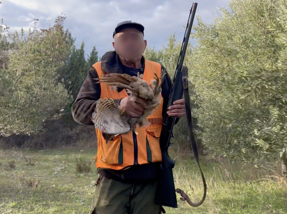 Lovci im zapucali iznad glava dok su brali masline u Donjem Polju: 'Jedan me čak i odgurnuo s puškom!'