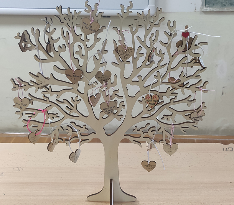 Pogledajte kako su šibenski gimnazijalci obilježili Valentinovo