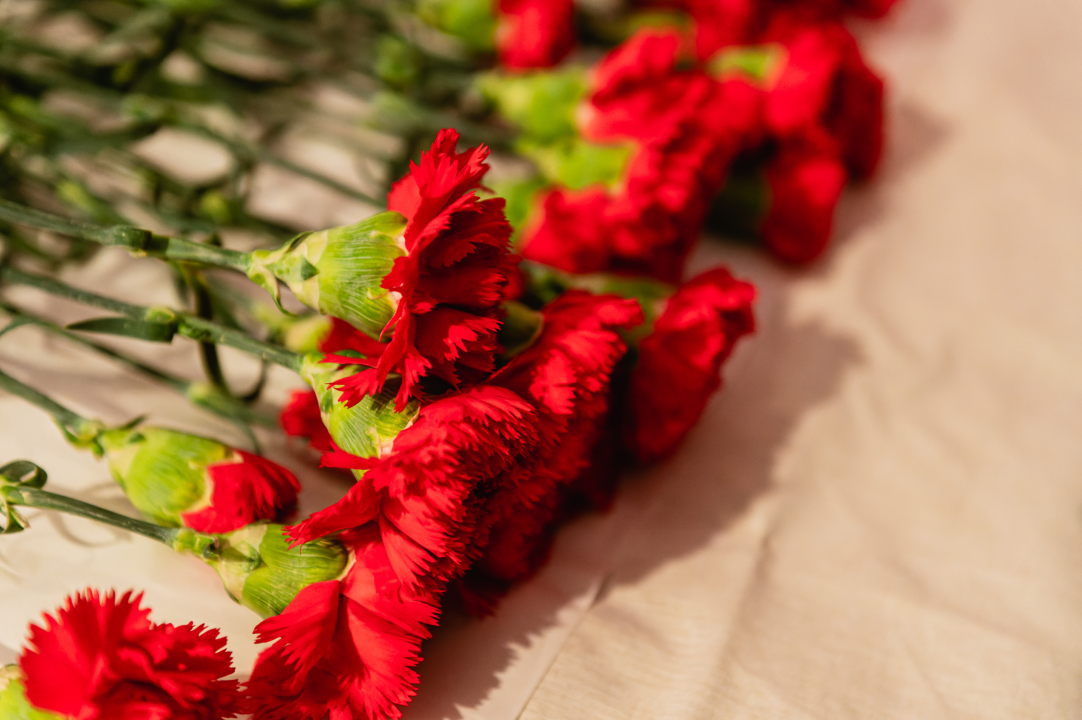 ‘Žene za slobodu’: Nestvarno je da netko 80 godina kasnije ženska prava dovodi u pitanje