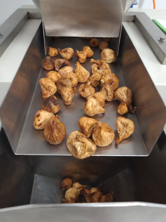 Ivan Rak zajedno s obitelji bavi se uzgojem smokava: 'Nije lako biti poljoprivrednik, ali ne damo se'