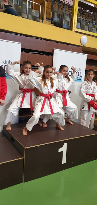 Karate klubu Pirovac sedam medalja na Jadran Kupu u Splitu 