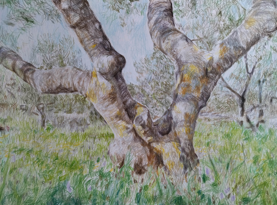 Nevena Petra Piližota na Cresu će predstaviti svoju izložbu 'Otok'