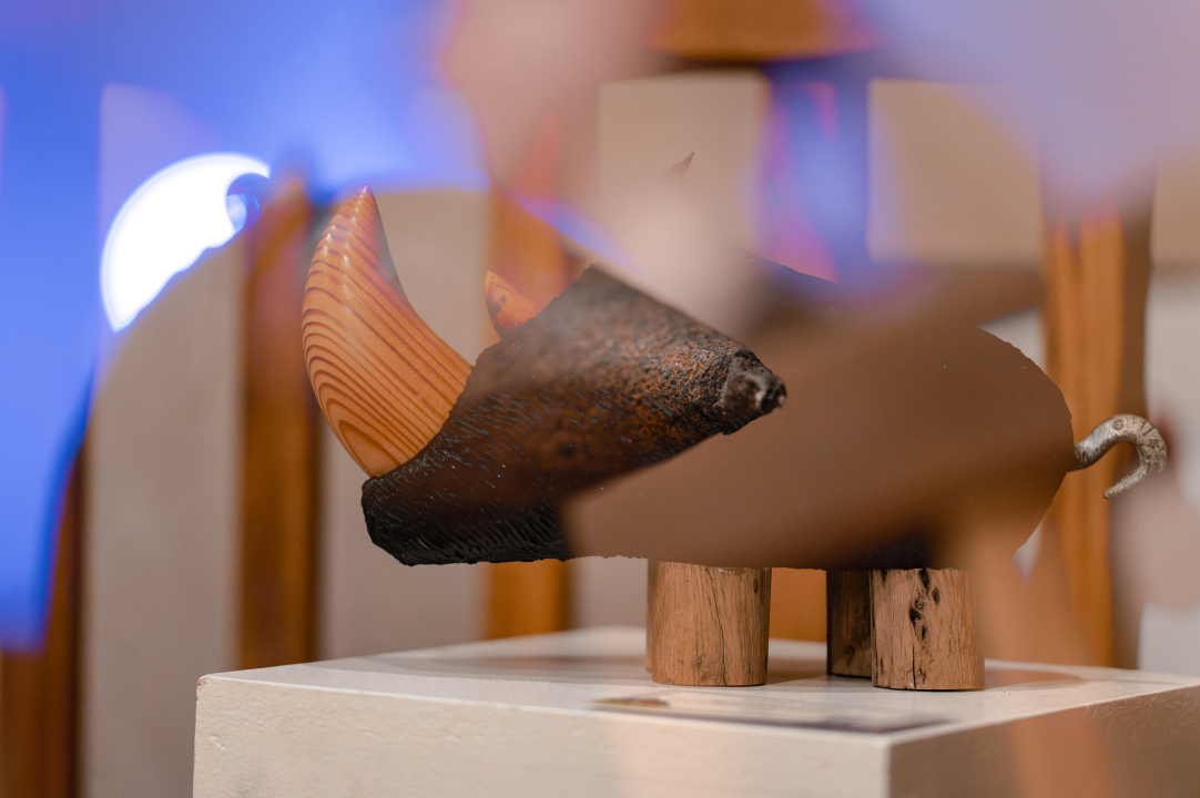 Ljubav Koraljka Grebena u Azimutu: 'Imam osjećaj da pripadam ovoj zajednici'