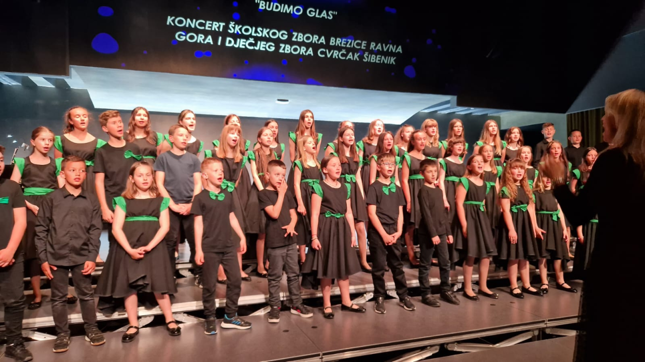 'Mali cvrčci' i njihovi gosti u Kući umjetnosti Arsen oduševili publiku koncertom 'Budimo glas' 