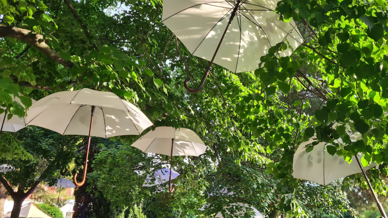 Započeo 3. Šibenik Spring Festival: Sljedećih pet dana uživajte u proljetnoj 'adventuri' u najljepšem šibenskom parku 