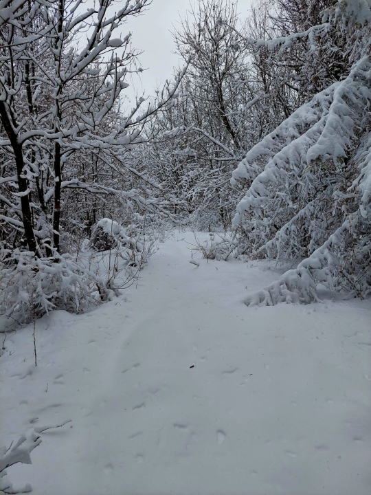 Kninjanin Ivan Džepina obišao 158 hrvatskih vrhova, a na posljednjem je zaprosio djevojku