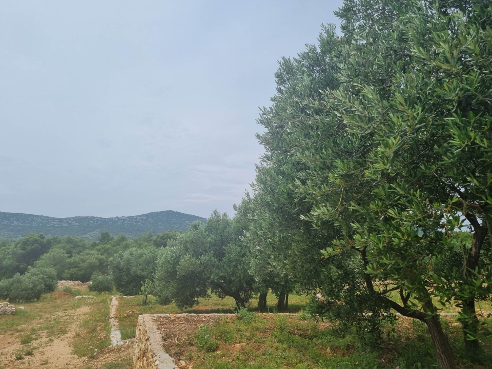 Uručeni eko certifikati za proizvođače iz Skradina i Tribunja 