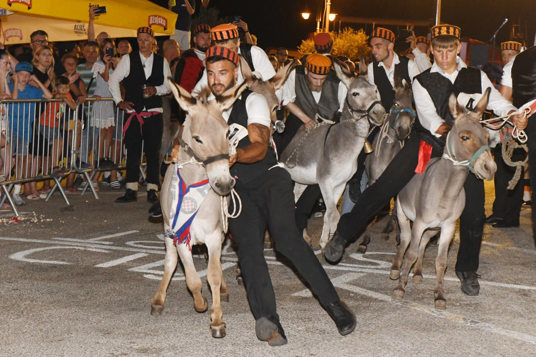 Vodičanin Roko Španja pobjednik 56. utrke magaraca u Tribunju!