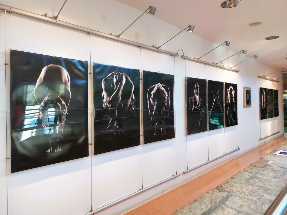 U knjižnici otvorena izložba 'Ženski akt'