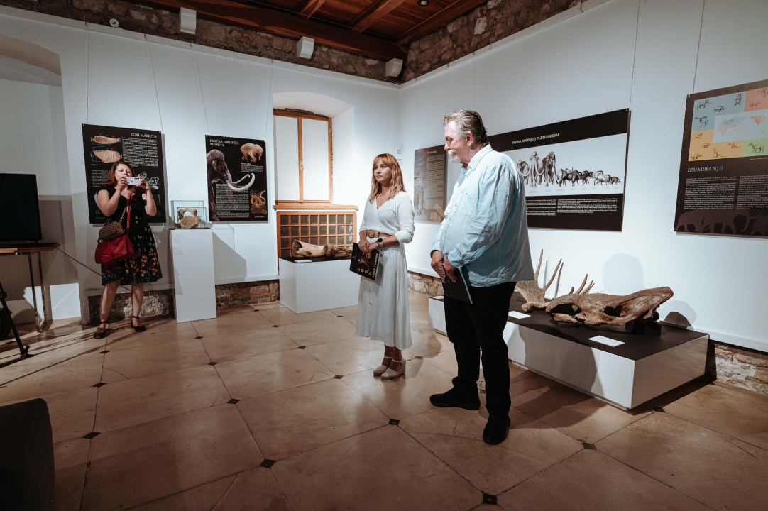 U Muzej ‘stigao’ stepski mamut iz Slavonskog Broda: ‘I Drniš svog mamuta ima'