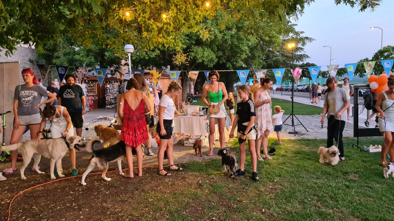 U Šibeniku izabrani najljepši psi mješanci