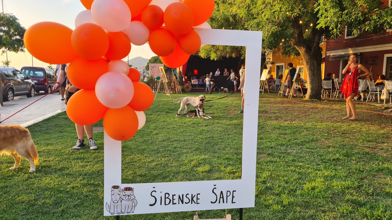 U Šibeniku izabrani najljepši psi mješanci