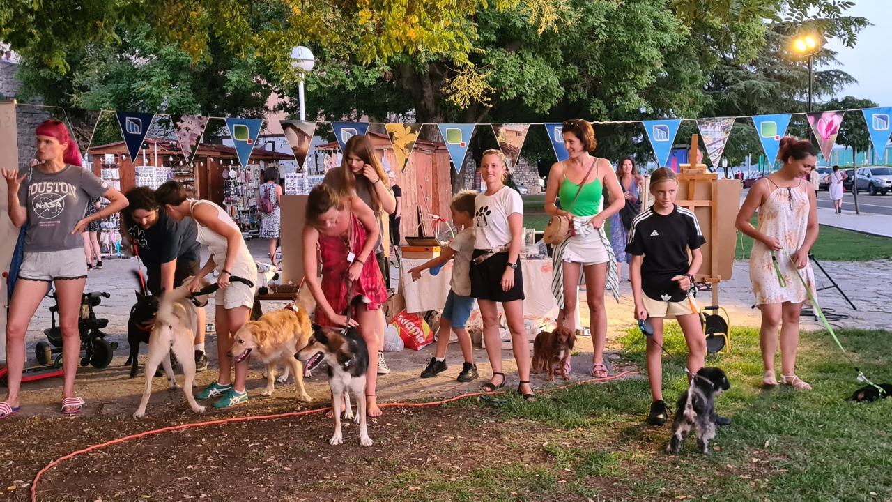 U Šibeniku izabrani najljepši psi mješanci