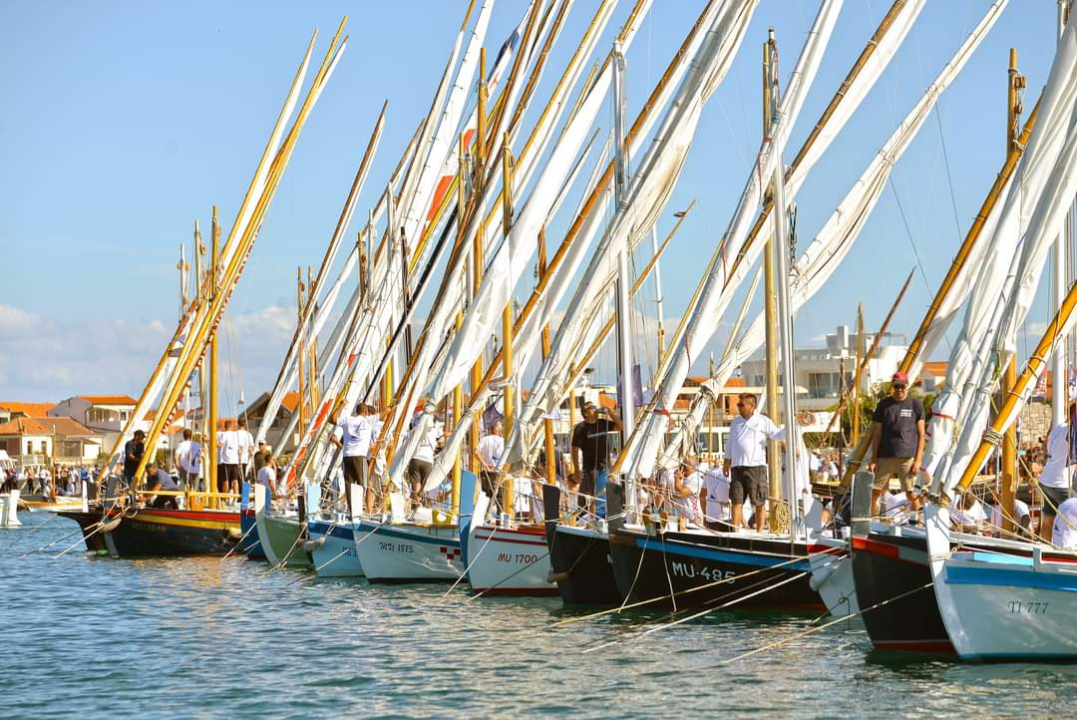 Leteći odred otvorit će ovog petka 26. Dane latinskog idra!