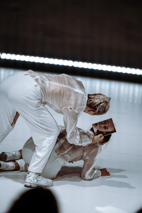 Strahovi malih razlika u Arsenu: Pitanja individualnog i kolektivnog, svjesnih i nesvjesnih obilježja sredine