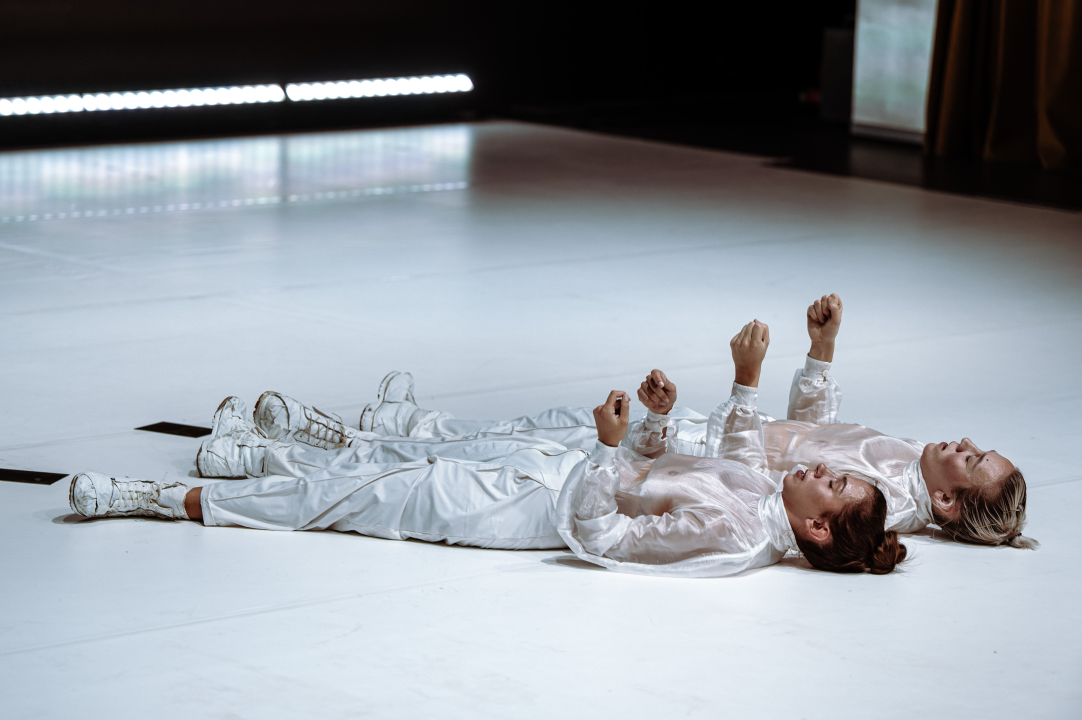 Strahovi malih razlika u Arsenu: Pitanja individualnog i kolektivnog, svjesnih i nesvjesnih obilježja sredine