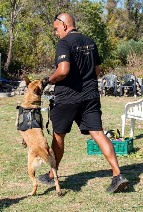 Seminar za ljubitelje pasa održan na Pokrovniku: 'Svaki pas uz puno rada i ljubavi može postati Tigar' 