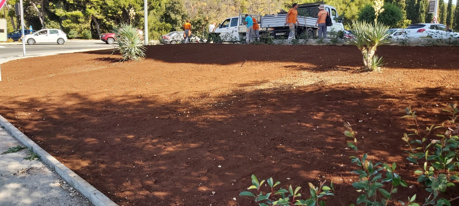 Zeleni grad Šibenik nastavlja s uljepšavanjem kvartova: Na Biocima posađene Yucca i Photinia 