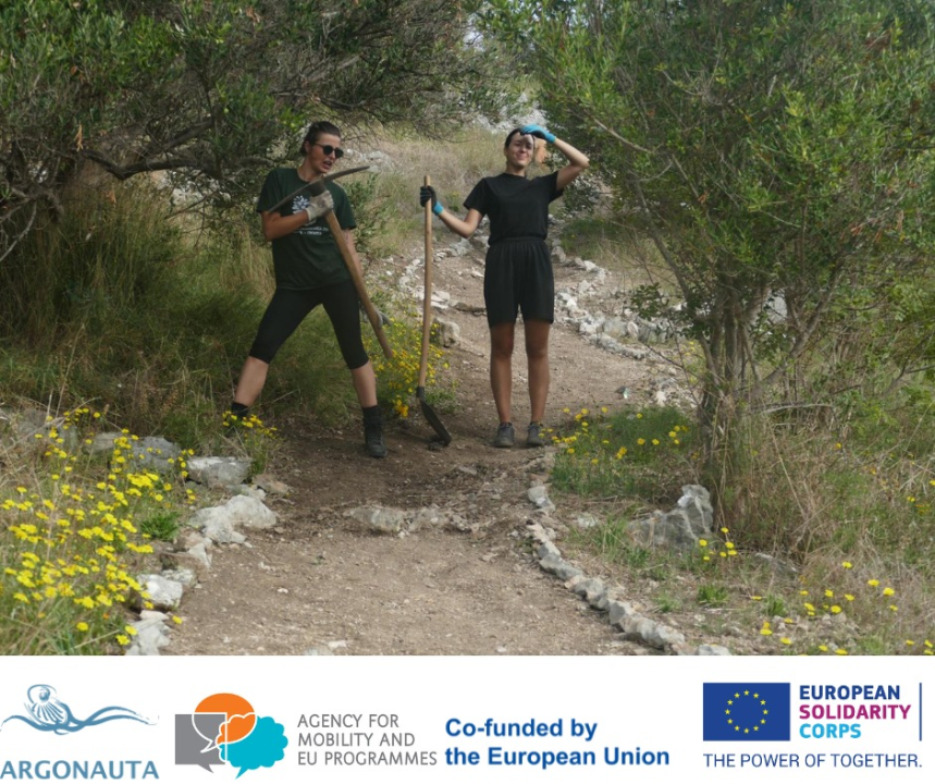 Masline su obrane, površine su zazelenjene, a Murter je čišći 