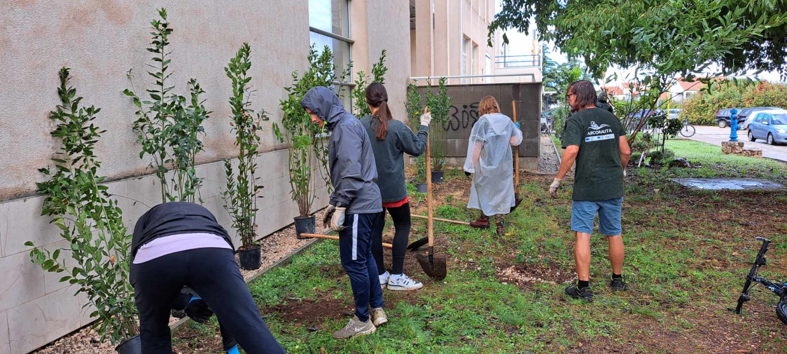 Masline su obrane, površine su zazelenjene, a Murter je čišći 