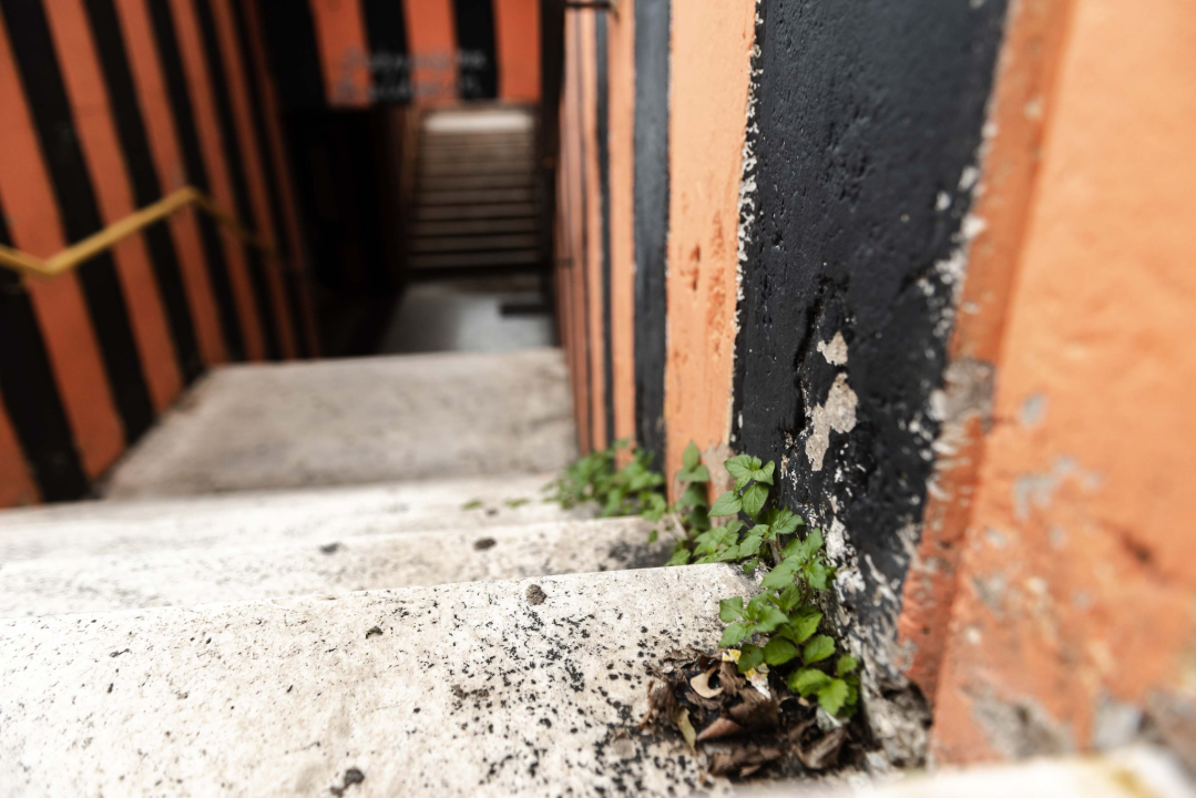 Počinje obnova pothodnika na Baldekinu, bit će prebojani ilegalni grafiti, murali ostaju