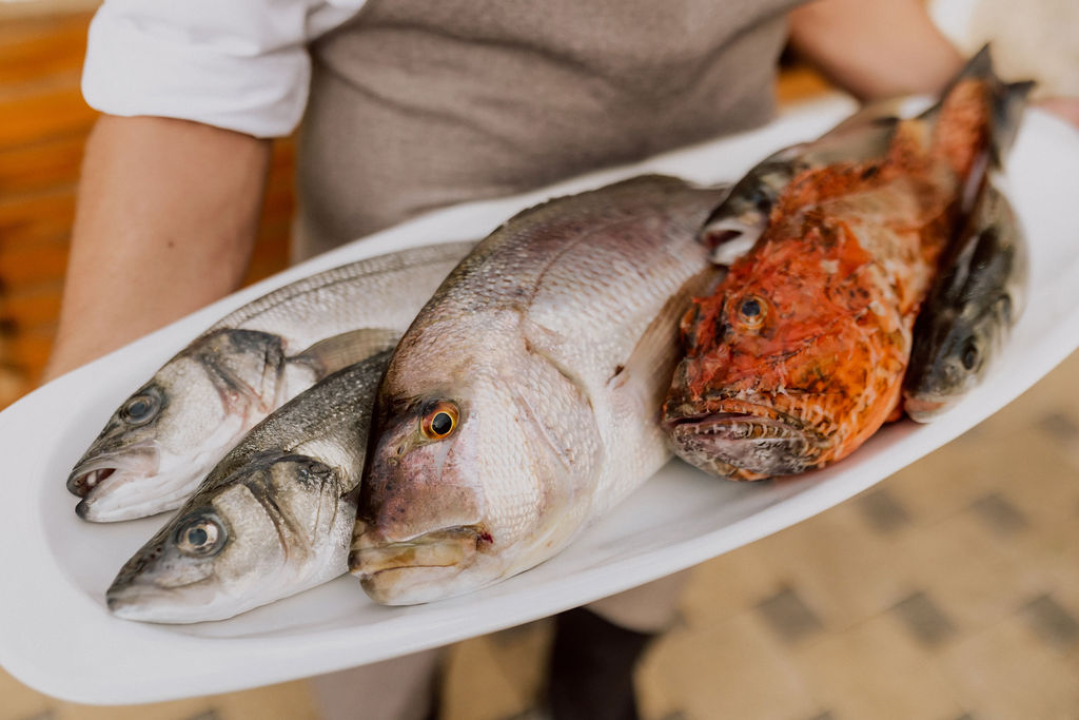 Isprobajte nova jela u restoranu Gastro Italiano! 