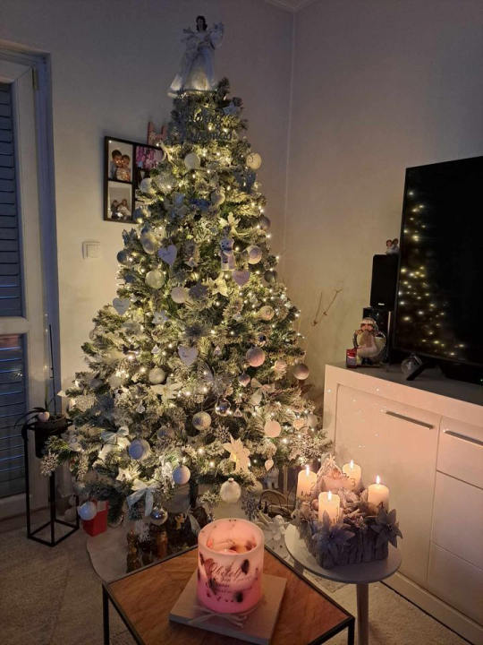 Provjerite tko su pobjednici izbora za naj jelku!