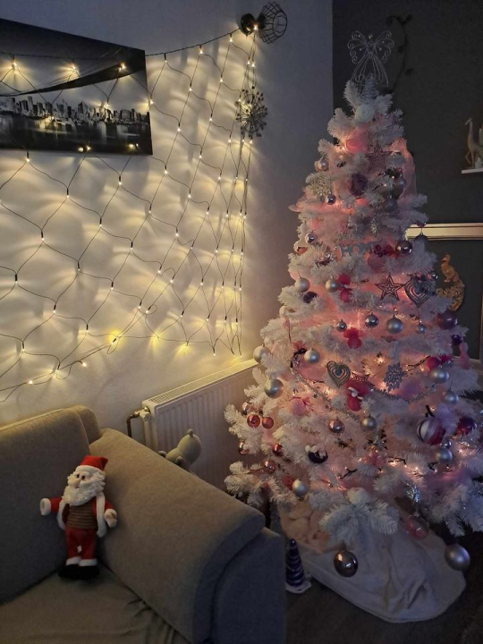 Provjerite tko su pobjednici izbora za naj jelku!