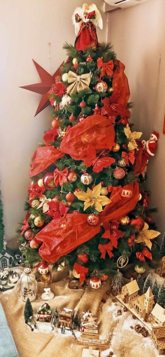 Provjerite tko su pobjednici izbora za naj jelku!