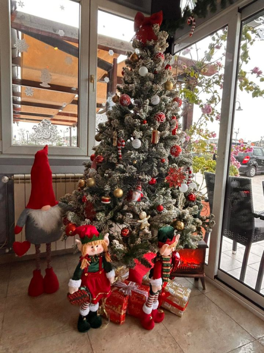 Provjerite tko su pobjednici izbora za naj jelku!