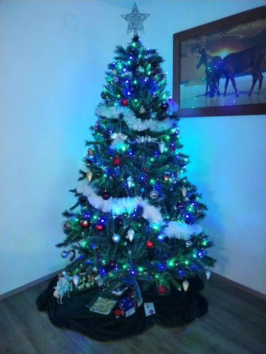 Provjerite tko su pobjednici izbora za naj jelku!