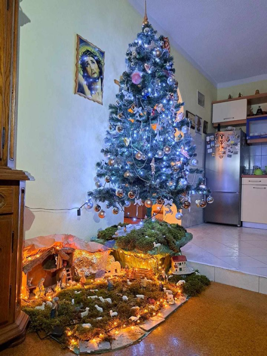 Provjerite tko su pobjednici izbora za naj jelku!