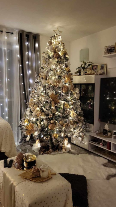 Provjerite tko su pobjednici izbora za naj jelku!