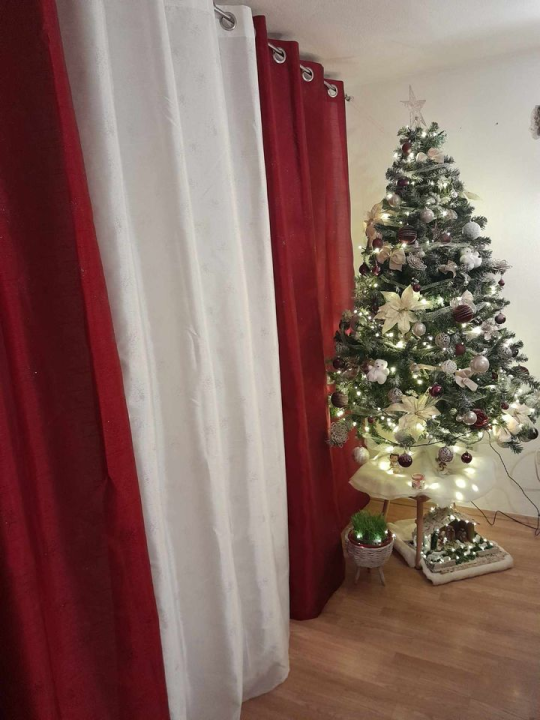 Provjerite tko su pobjednici izbora za naj jelku!