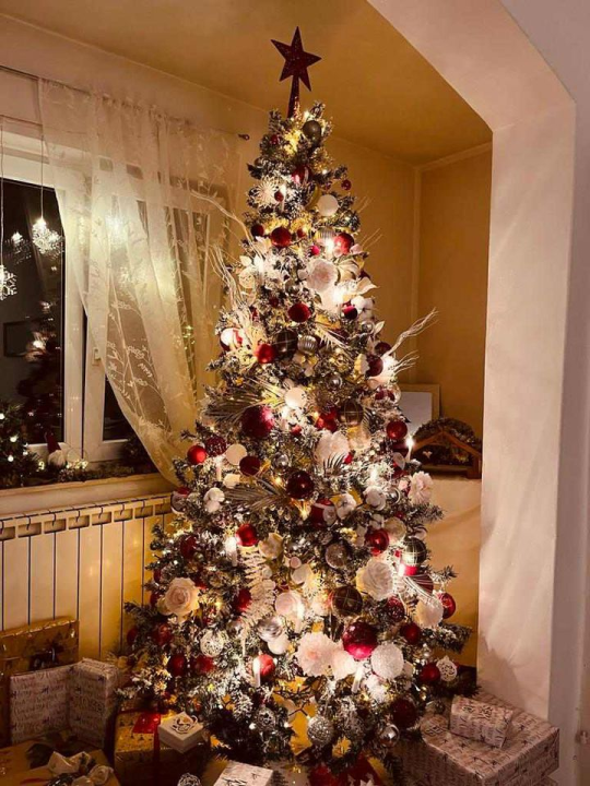 Provjerite tko su pobjednici izbora za naj jelku!