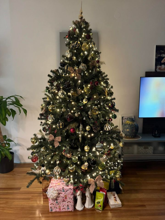 Provjerite tko su pobjednici izbora za naj jelku!