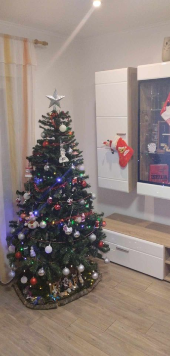 Provjerite tko su pobjednici izbora za naj jelku!